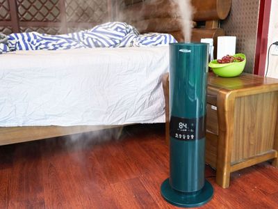 舒樂氏藍(lán)嶺霧加濕器 在家里種上一棵會(huì)呼吸的樹
